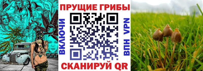 Псилоцибиновые грибы Magic Shrooms  KRAKEN ссылка  Нефтекамск  купить  сайты 